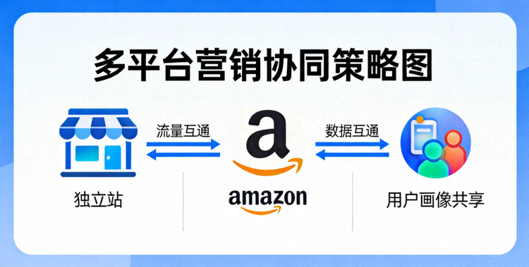 多平台营销协同策略图，展示独立站、亚马逊、社交媒体之间的流量与数据互通